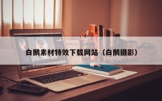永兴白鹅素材特效下载网站（白鹅摄影）